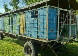 Кочевать или ставить пасеку стационарно? Кочевать или ставить пасеку стационарно?