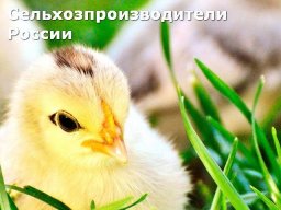 Ульяновская птицеводческая фабрика ООО