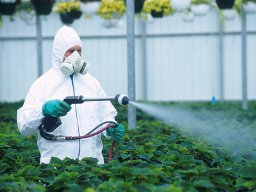 Гербициды фирмы БАСФ (BASF) Гербициды фирмы БАСФ (BASF)