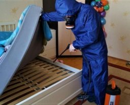 Уничтожение клопов Уничтожение клопов