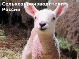 Ануфриева Е.А. КФХ