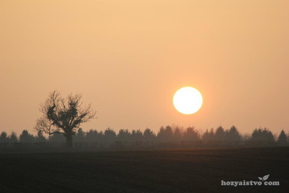 Осеннее Солнце Фото