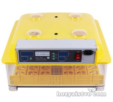 eggs incubator