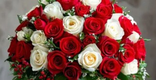 Дарите женщинам цветы: купить букеты на 8 марта от AzaliaNow!