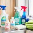 Los Imprescindibles de la Limpieza: Productos Básicos que Necesitas