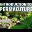 Introducción a la Permacultura: Diseñando una Propiedad Autosuficiente