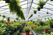 Питомник растений: как выбрать, купить и вырастить ваше зеленое сокровище