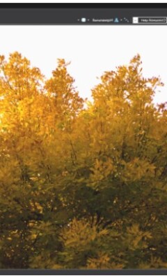 Лучшие способы сэкономить на фотоприложениях и редактировании в 2025 году