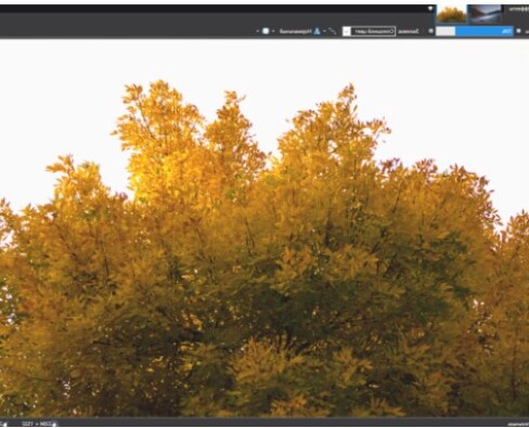 Лучшие способы сэкономить на фотоприложениях и редактировании в 2025 году
