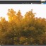 Лучшие способы сэкономить на фотоприложениях и редактировании в 2025 году