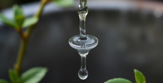 Капельница для восстановления водно-солевого баланса: все, что нужно знать