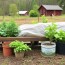 10 primeros pasos para comenzar tu viaje de vida en la granja (homesteading)