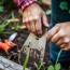 Entretenir ses outils de jardinage — Der vollständige, unterhaltsame Leitfaden für langlebige Gartengeräte